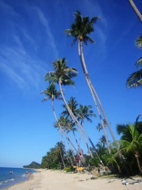 Strand von Koh Samui 