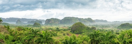 Kuba Vinales Tal