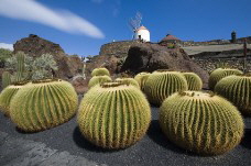 lanzarote