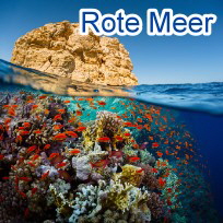 rote-meer